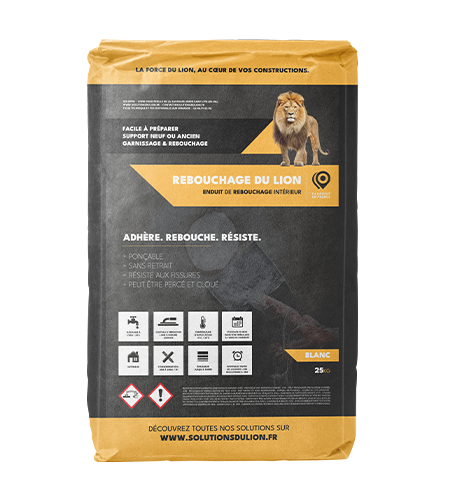 Image du produit : REBOUCHAGE DU LION image